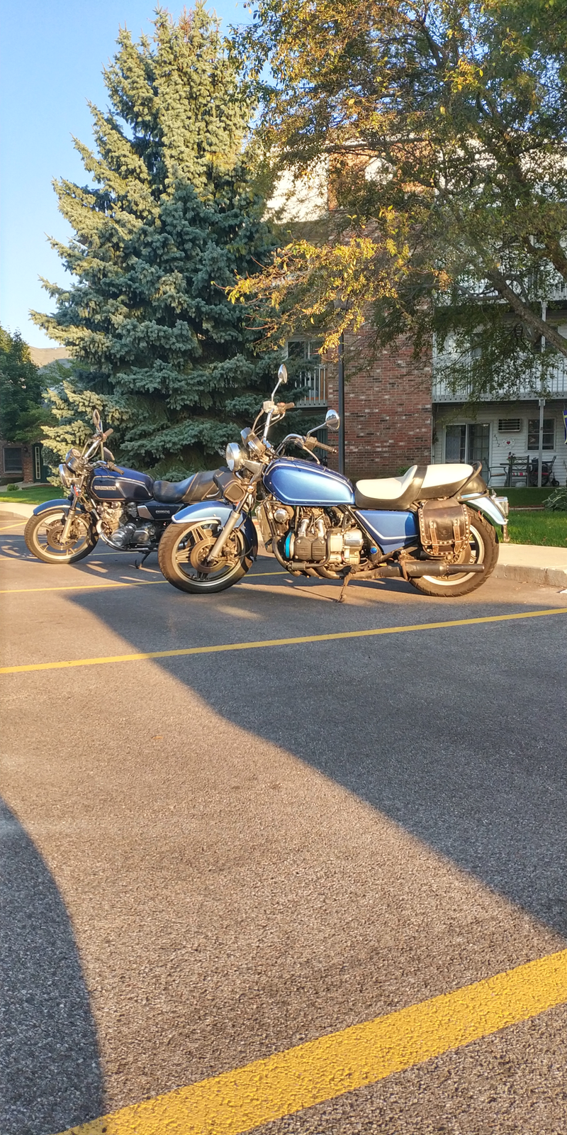 Illustration for article titled Got the Goldwing and the GS850G out for a little photoshoot.